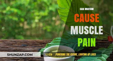 Kratom and Muscle Pain: What's the Link?
