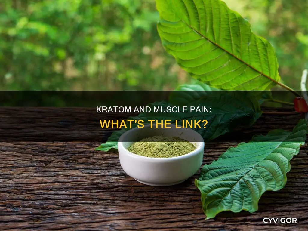 can kratom cause muscle pain