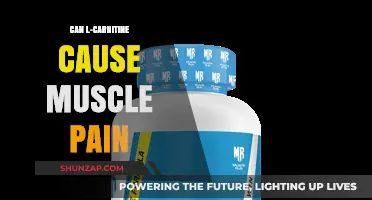 L-Carnitine and Muscle Pain: What's the Link?
