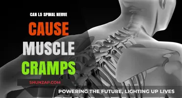 Spinal Nerve and Muscle Cramps: L5 Connection