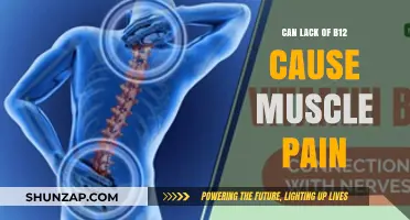 How B12 Deficiency Leads to Muscle Pain and Aches