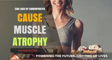 How Carb Deficiency Impacts Muscle Atrophy