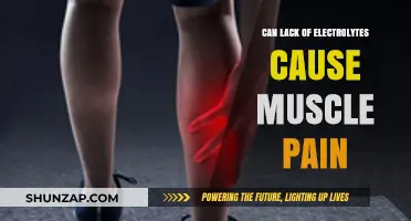 Electrolyte Imbalance: The Cause of Your Muscle Pain?