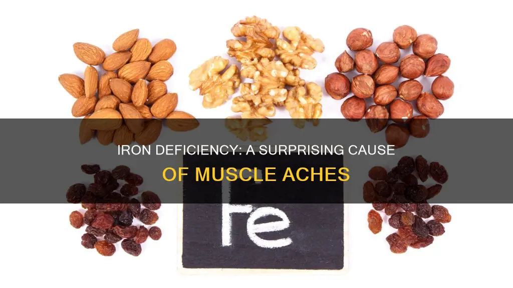 can lack of iron cause muscle aches