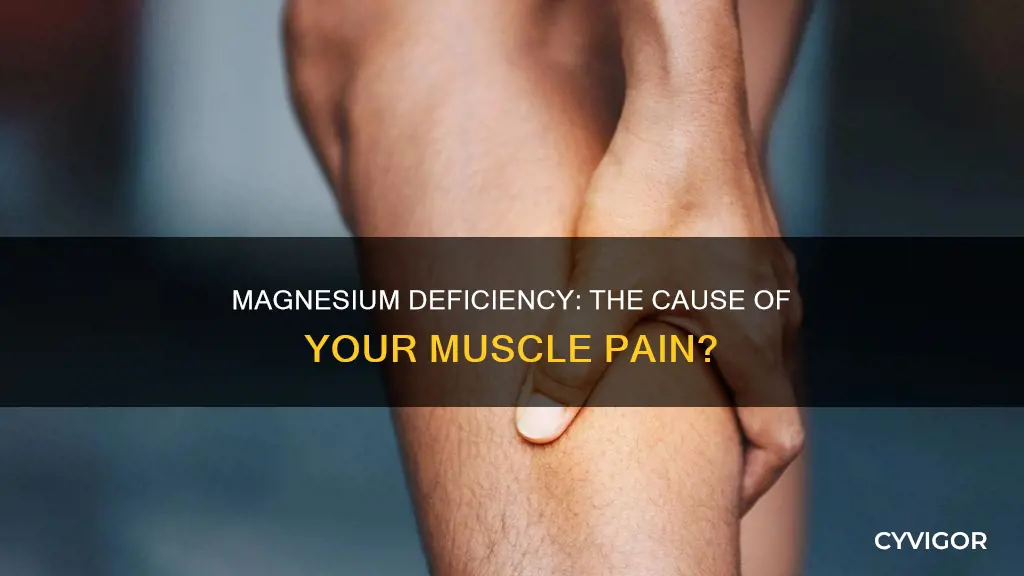 can lack of magnesium be the cause of muscle pain