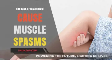 Magnesium Deficiency: The Root Cause of Muscle Spasms?