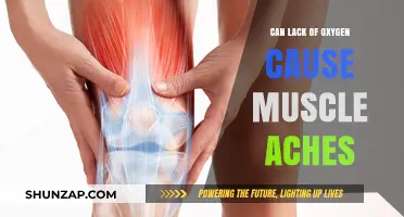 Oxygen Deprivation: The Link to Muscle Pain and Aches
