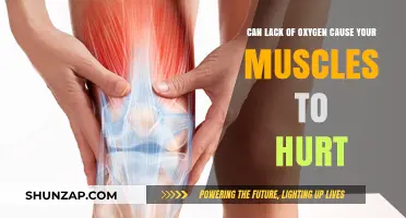 Oxygen Deprivation: The Link to Muscle Pain