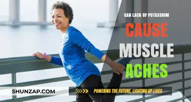 How Potassium Deficiency Triggers Muscle Aches