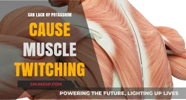 Potassium Deficiency: A Cause of Muscle Twitching?