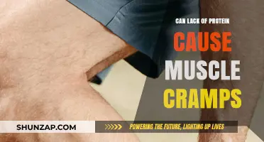 Protein Deficiency: The Cause of Muscle Cramps?