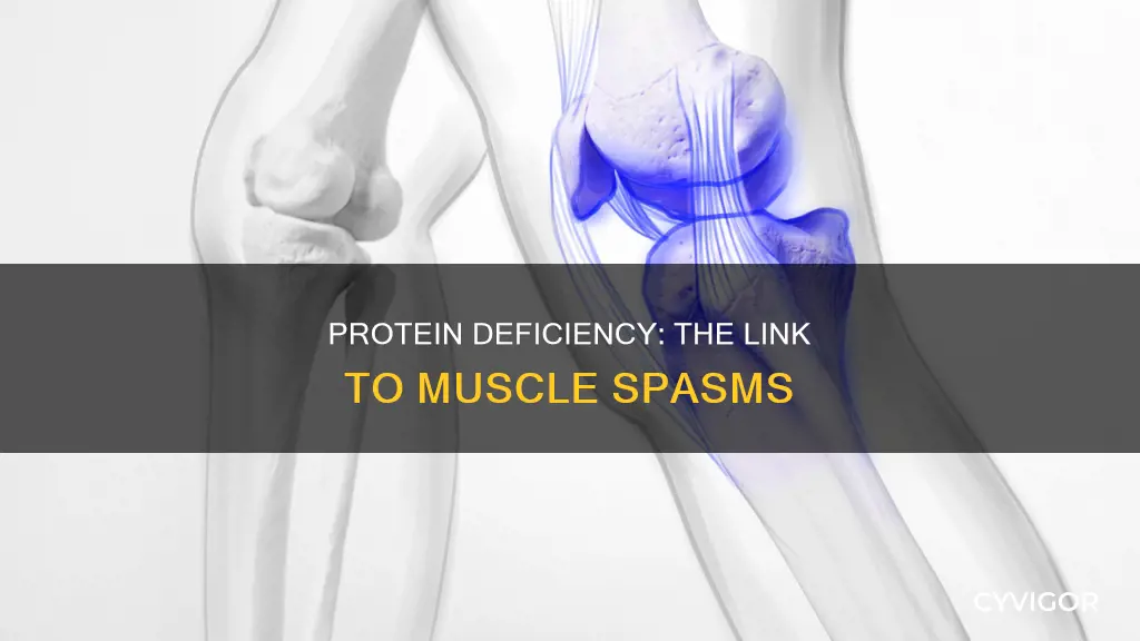 can lack of protein cause muscle spasms