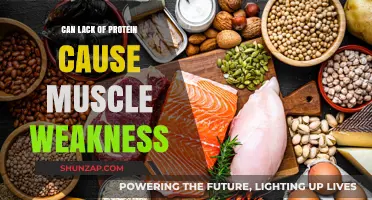 Protein Deficiency: Is It Behind Muscle Weakness?
