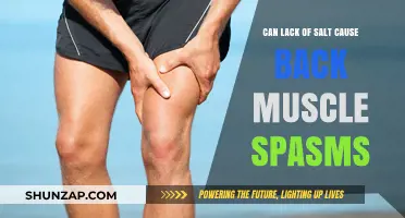 Salt Deficiency: A Cause of Back Muscle Spasms?