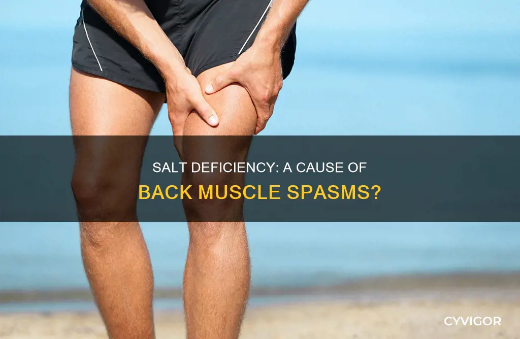 can lack of salt cause back muscle spasms