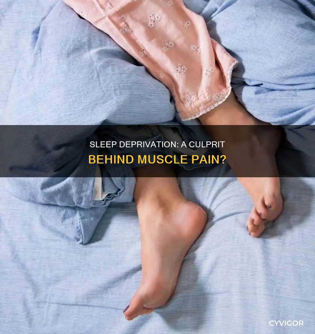 can lack of sleep cause muscle pain