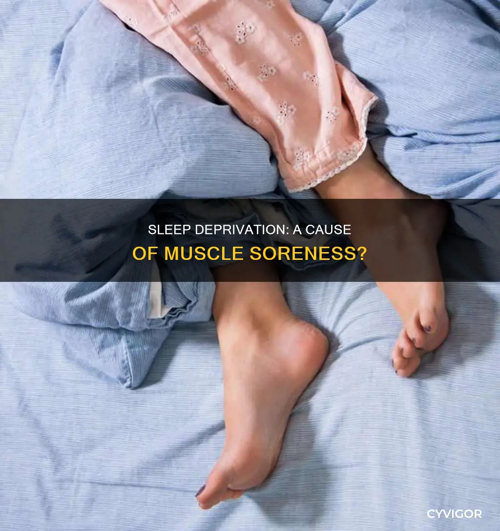 can lack of sleep cause muscle soreness