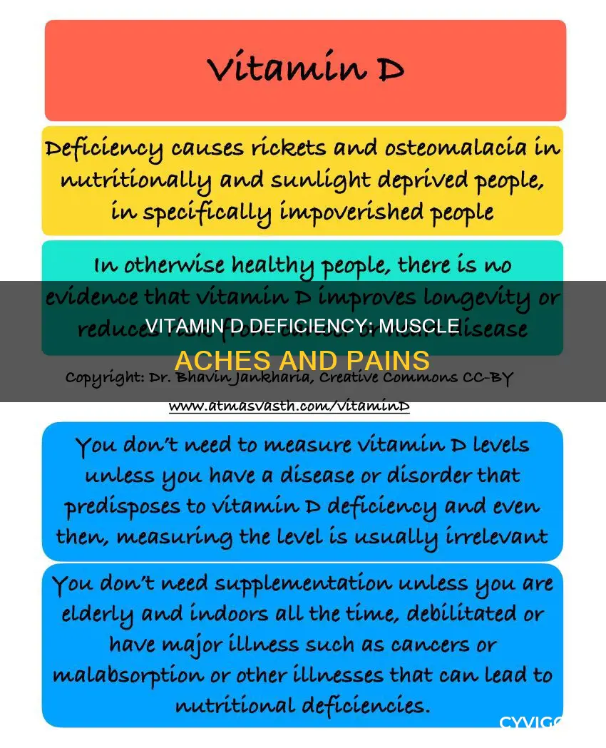 can lack of vitamin d cause muscle aches