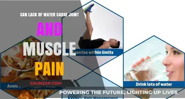 Dehydration: A Culprit Behind Joint and Muscle Pain?