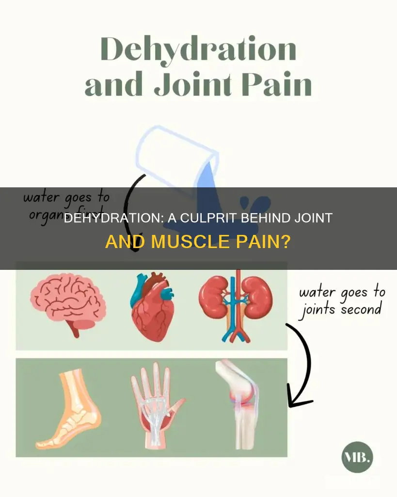 can lack of water cause joint and muscle pain