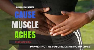 Dehydration and Muscle Aches: Is There a Link?