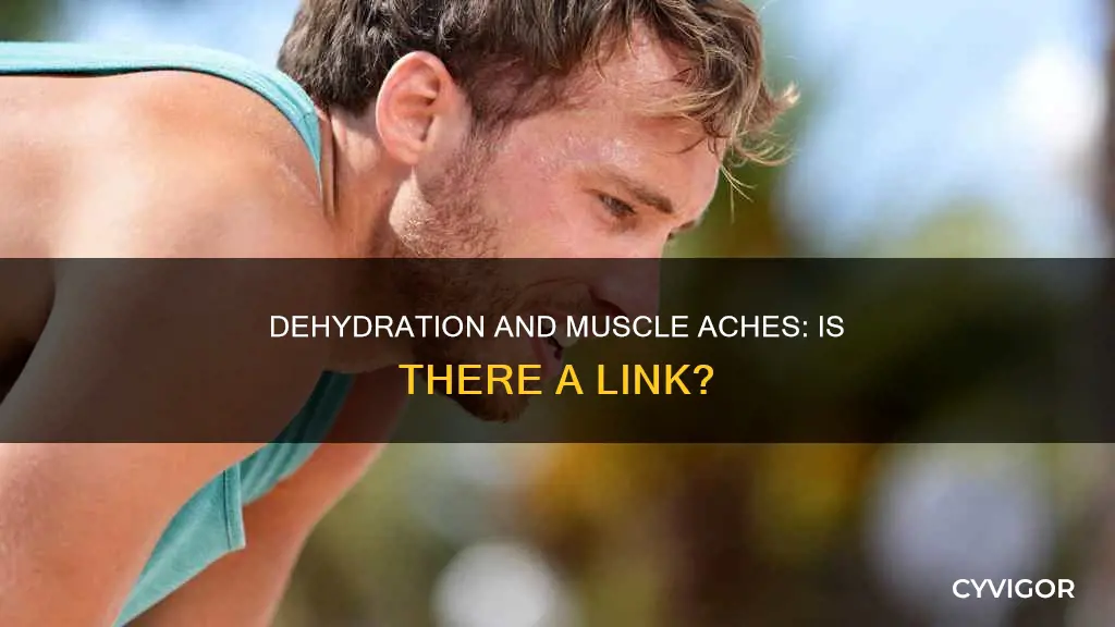 can lack of water cause muscle aches
