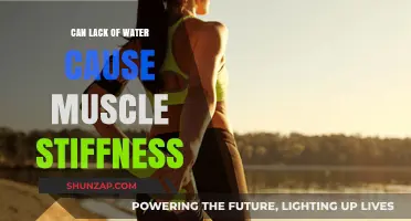 Hydration and Muscle Stiffness: The Surprising Link