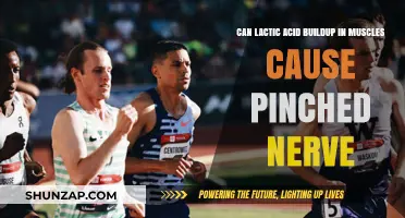 Lactic Acid and Pinched Nerves: What's the Link?