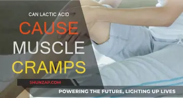 Lactic Acid and Muscle Cramps: What's the Link?