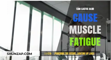 Lactic Acid's Role in Muscle Fatigue: What's the Truth?
