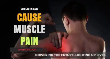 Lactic Acid: Friend or Foe in Muscle Pain?