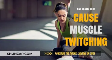 Lactic Acid: The Cause of Muscle Twitching?