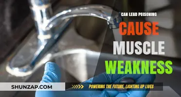 Lead Poisoning: Muscle Weakness and Fatigue