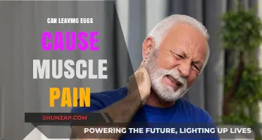 Eggs and Muscle Pain: What's the Connection?