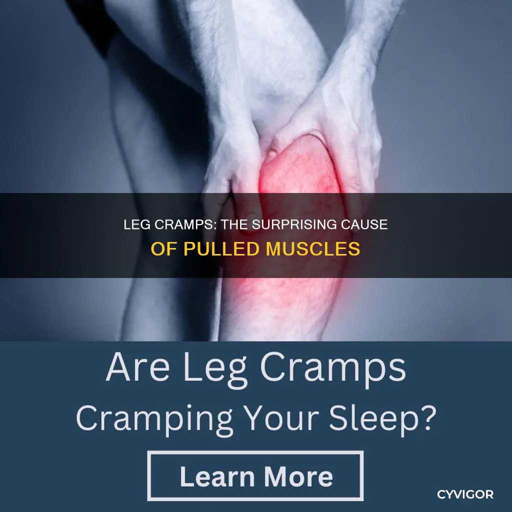 can leg cramp cause pulled muscle