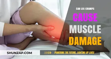 Leg Cramps: Do They Harm Muscles?