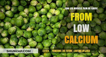 Leg Pain and Calcium: What's the Link?