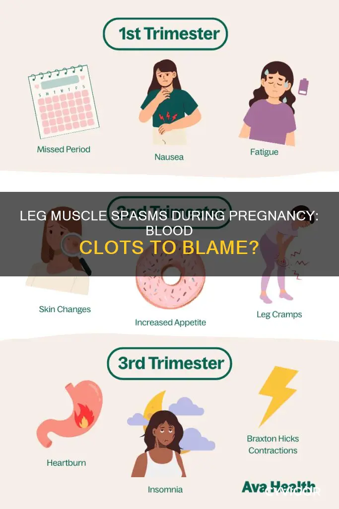 can legs muscle spasms in pregnancy cause by clots