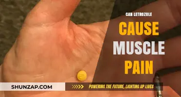Letrozole and Muscle Pain: What's the Link?