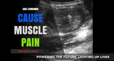 Leukemia and Muscle Pain: Is There a Link?