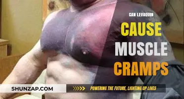Levaquin Side Effects: Muscle Cramps Explained