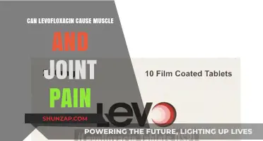 Levofloxacin: Understanding Muscle and Joint Pain Risks