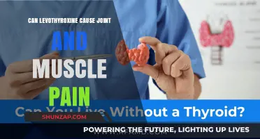 Levothyroxine Side Effects: Joint and Muscle Pain Explained