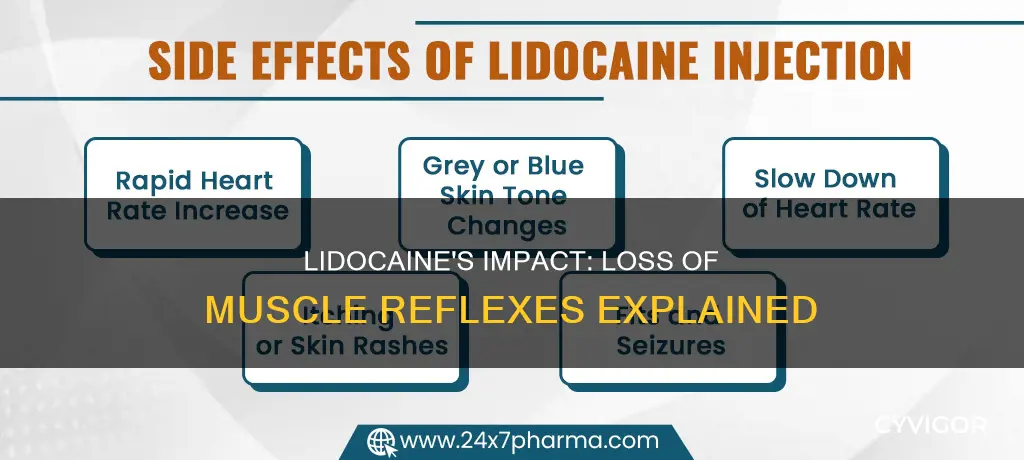 can lidocaine cause lack of muscle reflexes