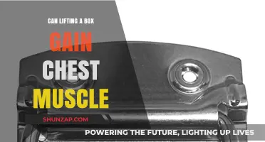 Can Lifting Boxes Build Chest Muscles? The Surprising Truth Revealed