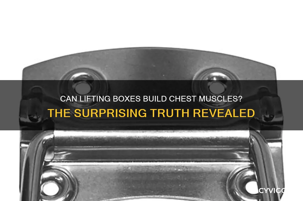 can lifting a box gain chest muscle
