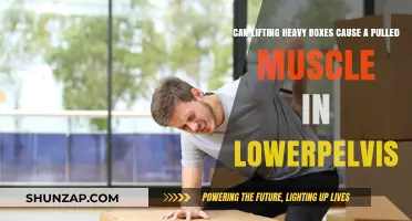 Heavy Lifting: Pelvic Muscle Strains Explained