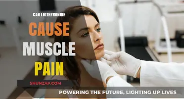 Liothyronine Side Effects: Muscle Pain Explained