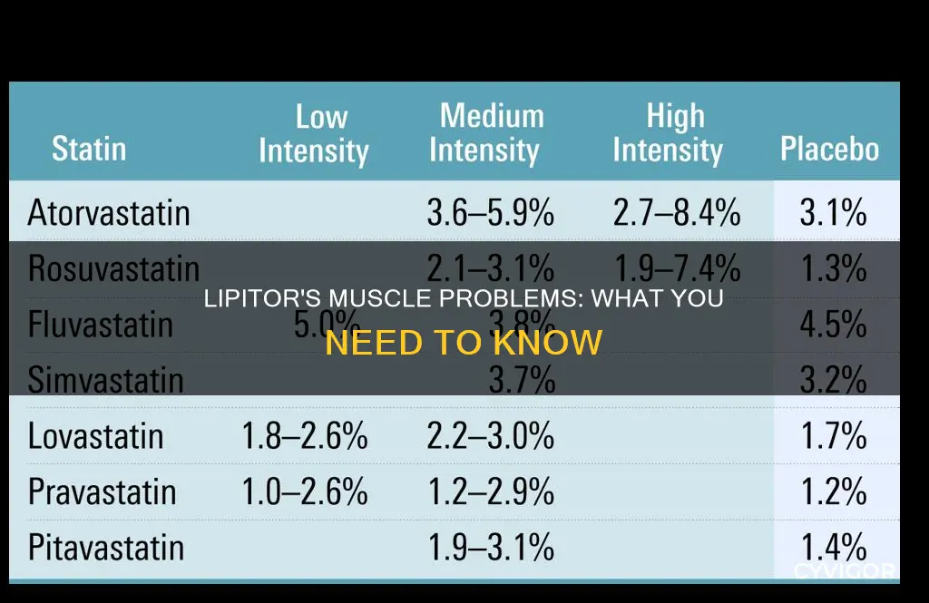 can lipitor cause muscle issues