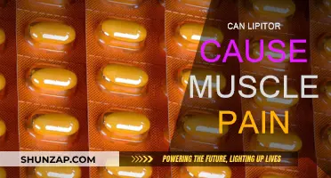 Lipitor and Muscle Pain: What's the Link?